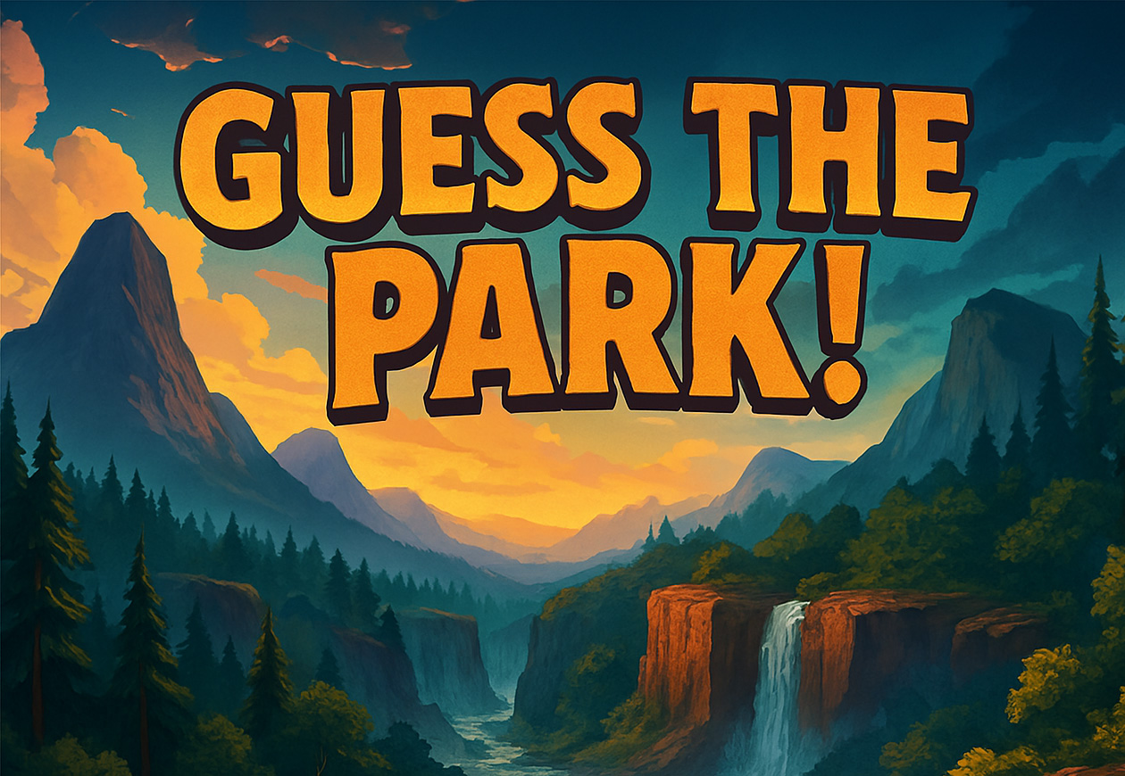 Trivia Game Banner